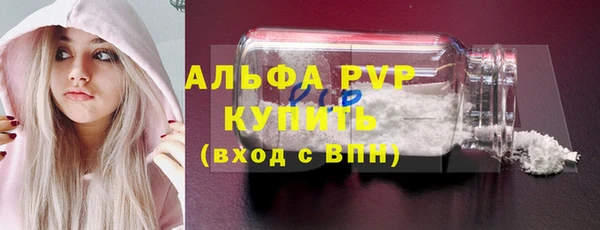 ГАЛЛЮЦИНОГЕННЫЕ ГРИБЫ Тавда