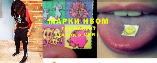 индика Вязники