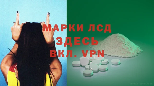 прущие грибы Вяземский