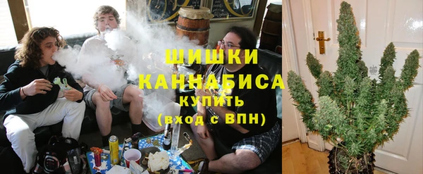 прущие грибы Вяземский