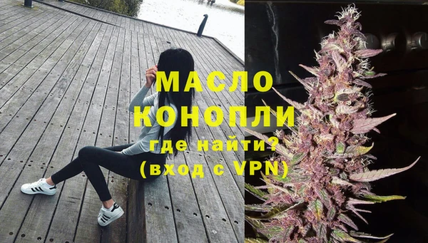 индика Вязники