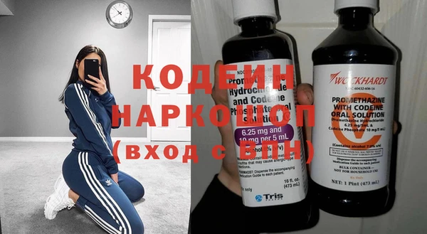 индика Вязники