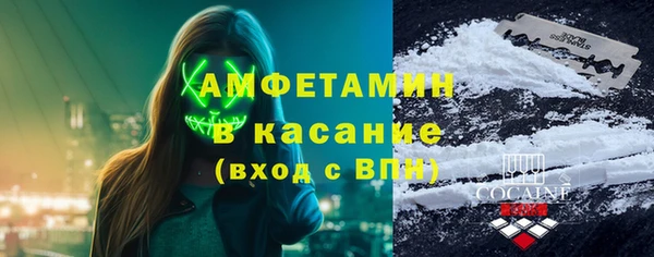 прущие грибы Вяземский