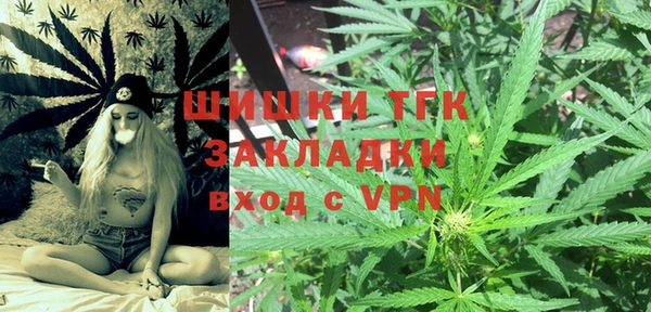 прущие грибы Вяземский