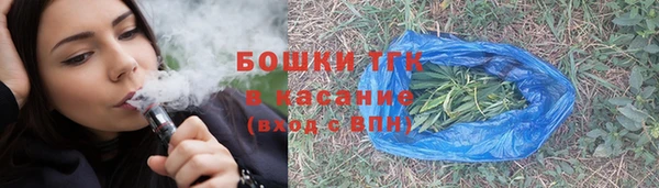 индика Вязники