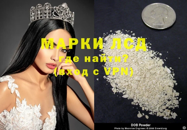 прущие грибы Вяземский