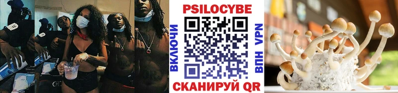 Купить  Бахчисарай  Галлюциногенные грибы Magic Shrooms 